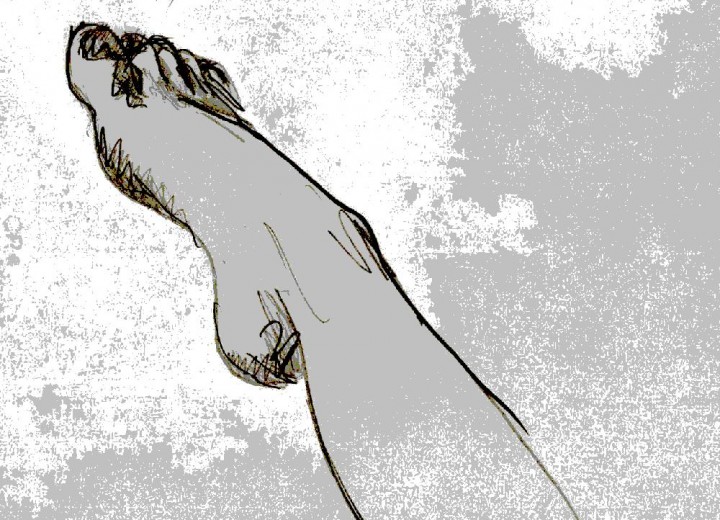 foot
